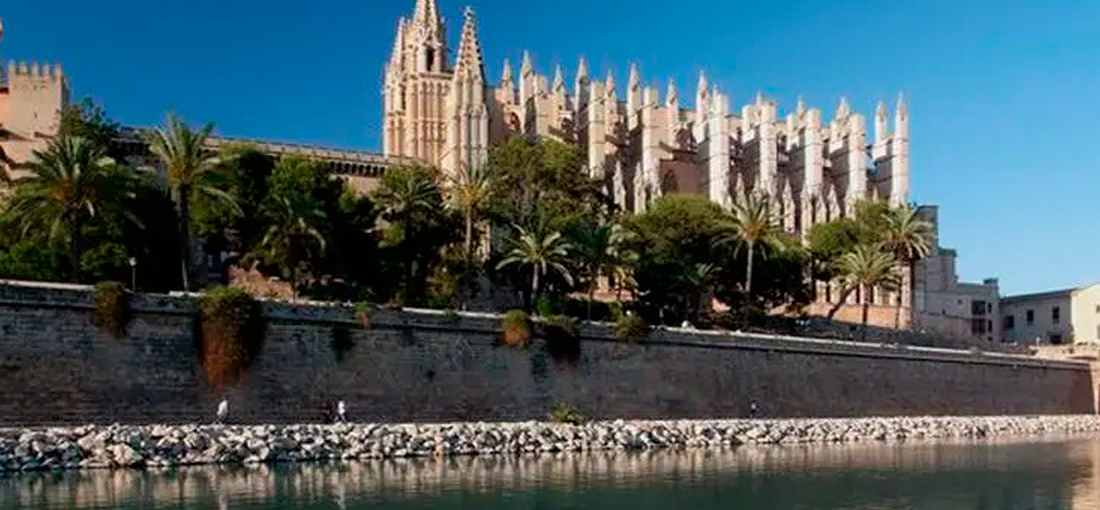 Guided visits palma