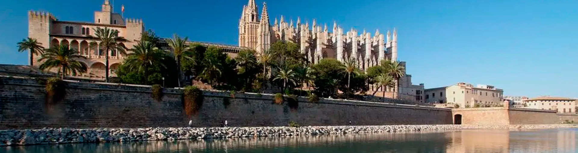 Guided visits palma