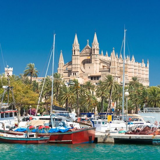 Palma activities