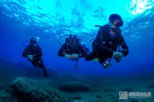 padi
